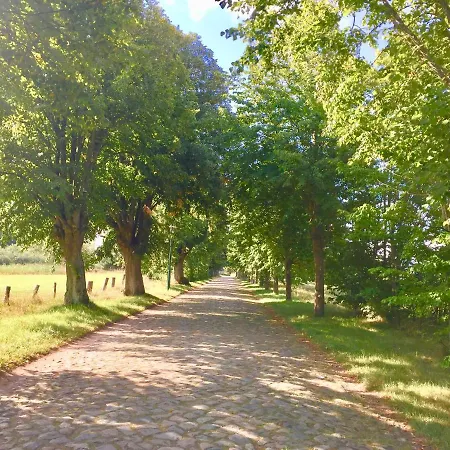 Fewo Martha - Ein Steinwurf Zum Ostseestrand Appartement